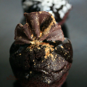 Brown Cake fondant au chocolat